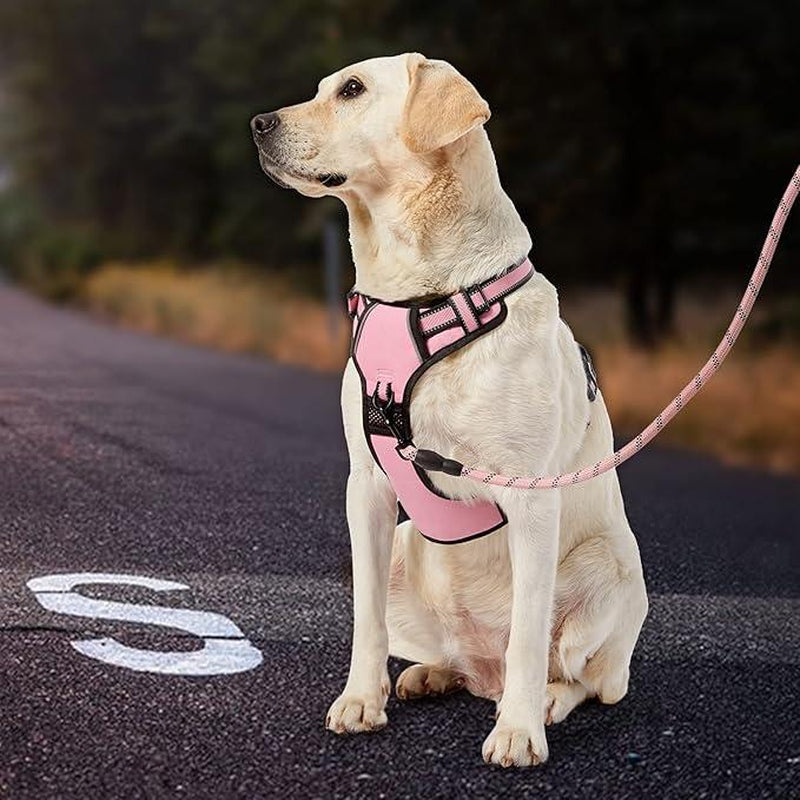 Dog Harness No-Pull Dog Vest with Leash, Reflective Anti-Choking Pet Vest, Adjustable Oxford Dog Vest with Easy-Control Handle for Small and Large Dogs
